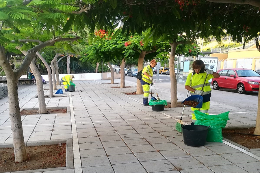 El Ayuntamiento finaliza el plan de limpieza integral en la Vega de San José