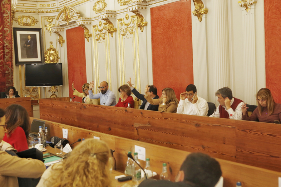 El Ayuntamiento insta al Gobierno autónomo a garantizar la solvencia financiera de la Zona Franca