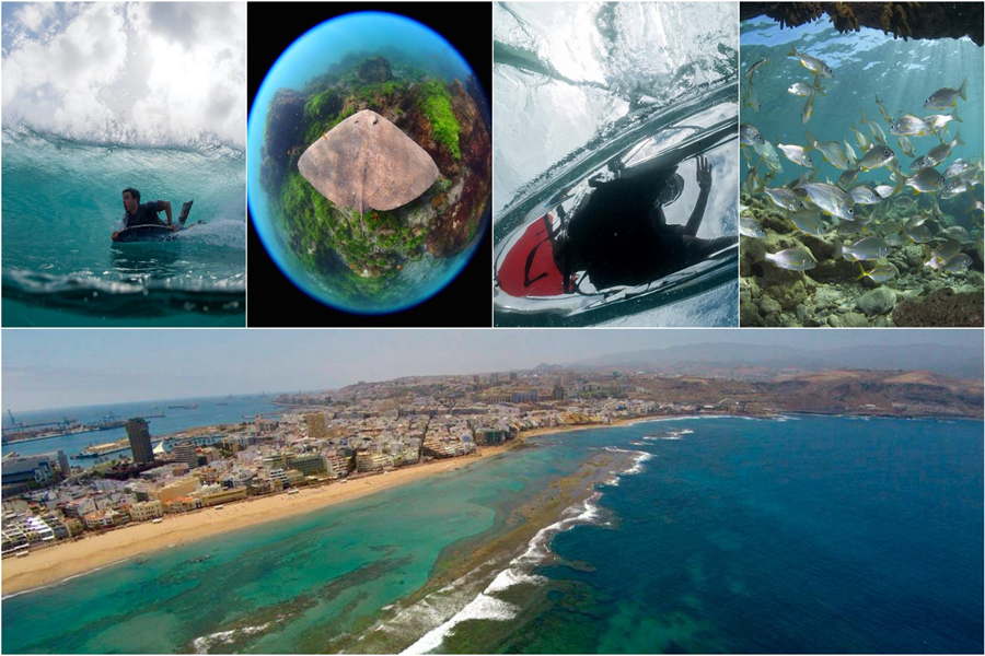 National Geographic destaca a Las Canteras como un paraíso repleto de biodiversidad