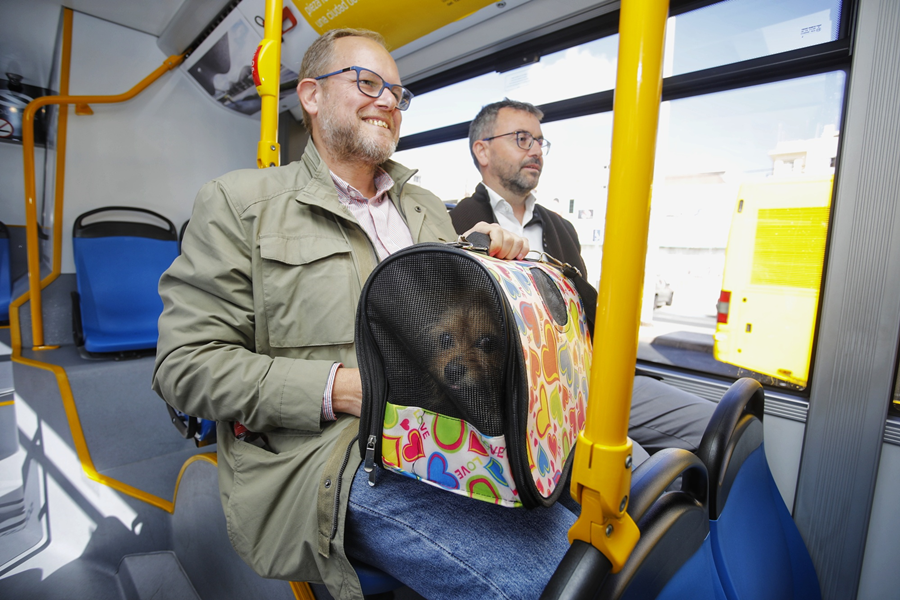 Guaguas Municipales permite el viaje de pequeñas mascotas a bordo de sus vehículos tras la publicación de la ordenanza de protección y tenencia de animales