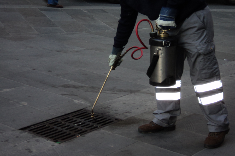 Salud Pública realiza tratamientos y controles de plagas en una treintena de barrios de la ciudad