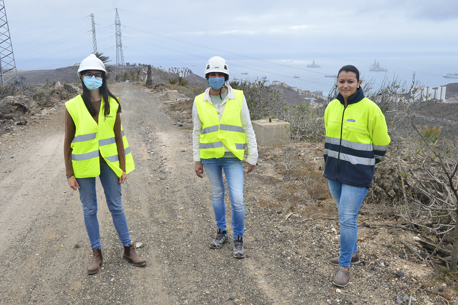El Ayuntamiento inicia la reforestación de 100.000 metros cuadrados del Parque medioambiental de El Lasso