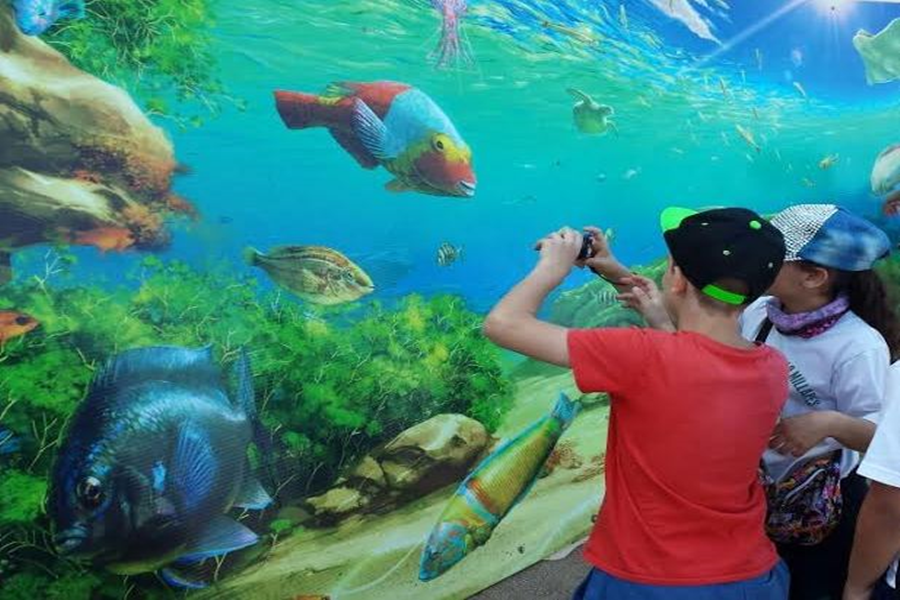 Ciudad de Mar impulsa la Playa de Las Canteras como aula de educación ambiental al aire libre