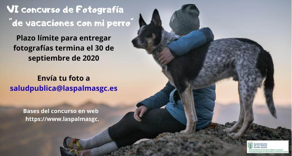 El Ayuntamiento premia las mejores fotografías de ciudadanos con sus perros este verano