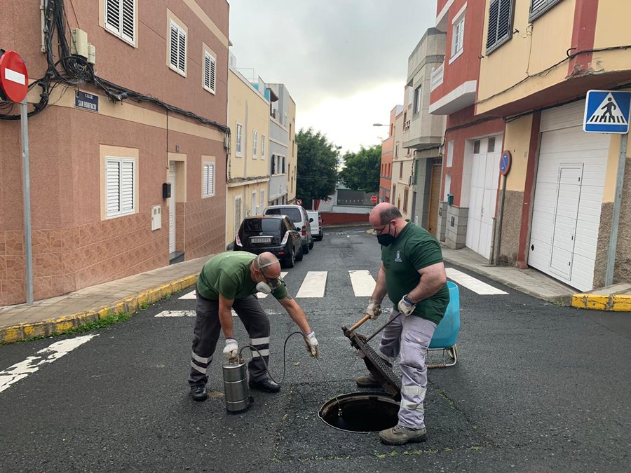 Salud Pública acondiciona los barrios de Piletas, Las Coloradas, Risco Negro y Marzagán con diversas actuaciones antiplagas