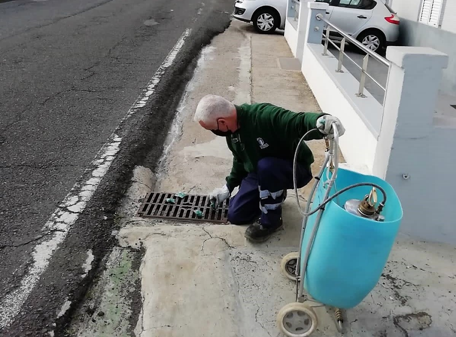 Salud Pública acondiciona Almatriche Alto, Las Mesas y El Fondillo con tratamientos integrales antiplagas