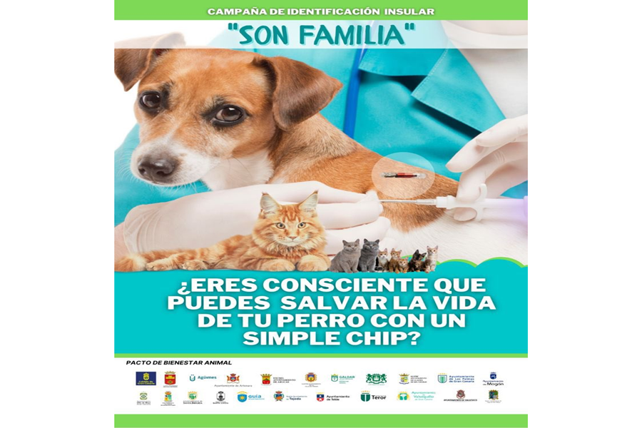 Campaña de identificación insular son familia ¿eres consciente que puedes salvar la vida de tu perro con un simple chip?