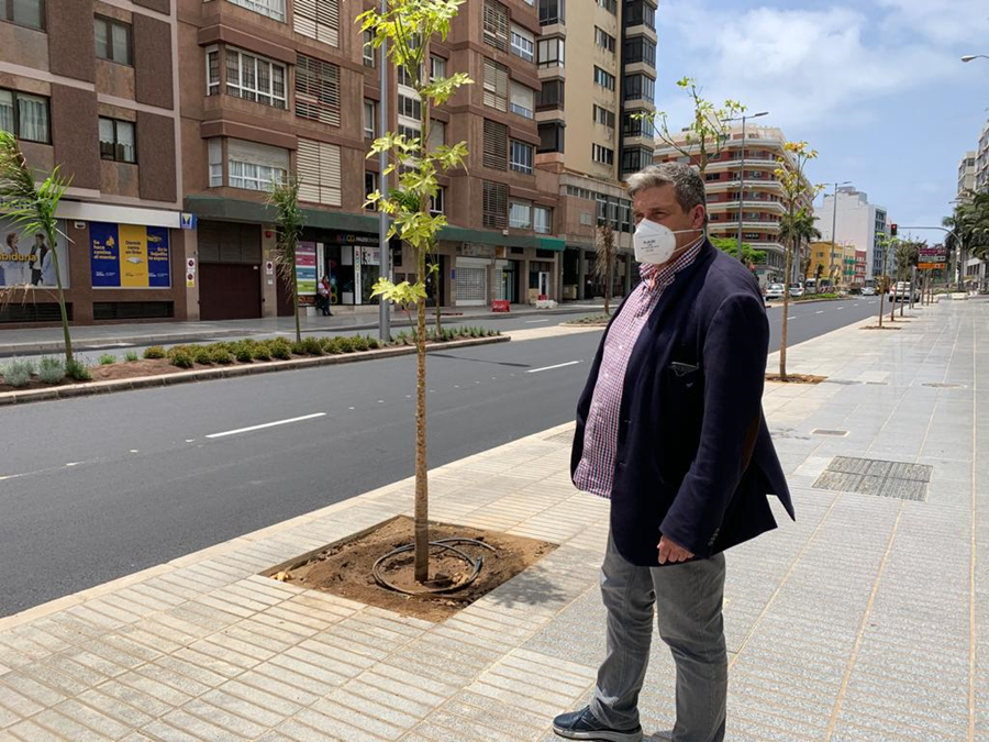 El Ayuntamiento planta 130 nuevos árboles y palmeras entre Venegas y Luis Doreste Silva