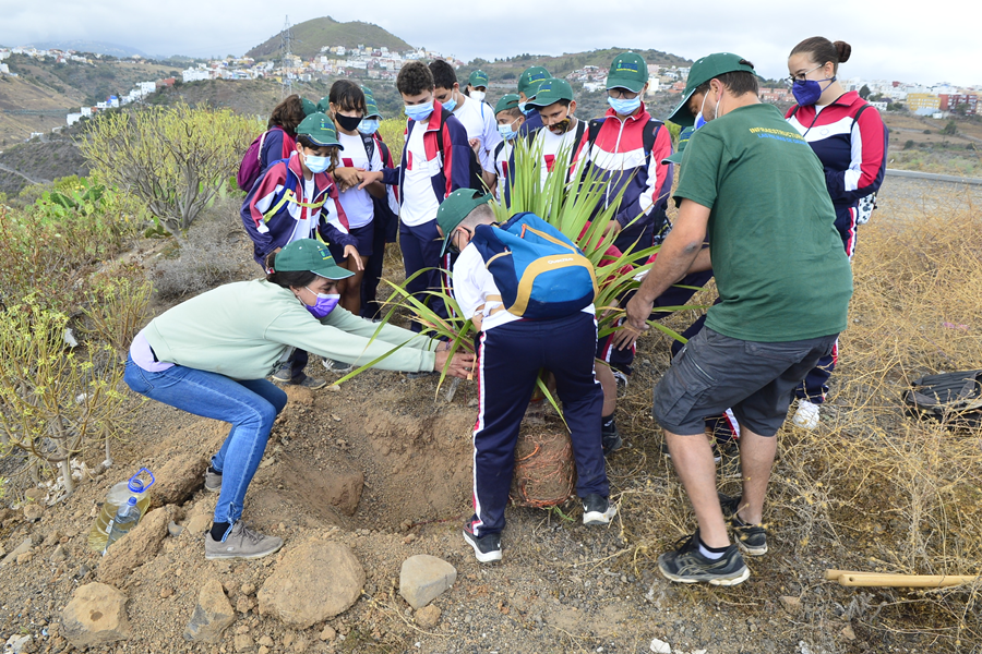 El Ayuntamiento muestra a los estudiantes como está recuperando el ecosistema de El Lasso para celebrar el Día Mundial del Medio Ambiente