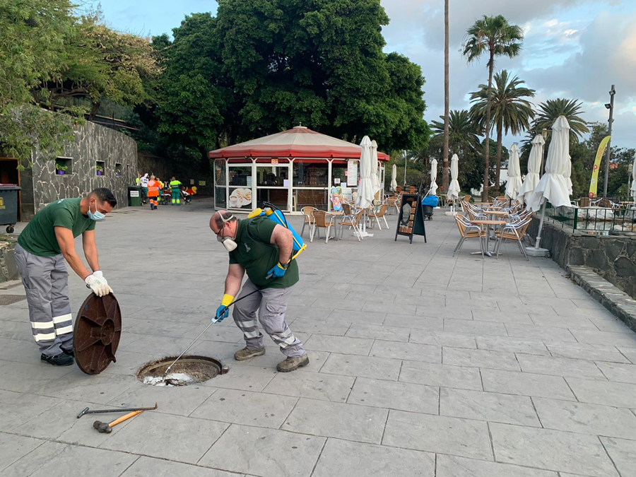Salud Pública finaliza un tratamiento integral de control de plagas en el entorno del parque Doramas