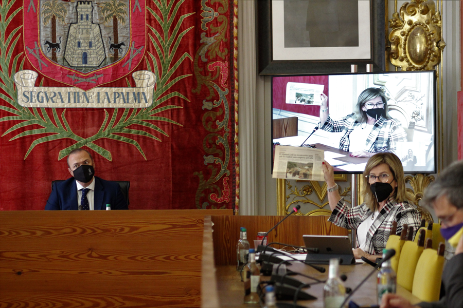 pleno20210226_7