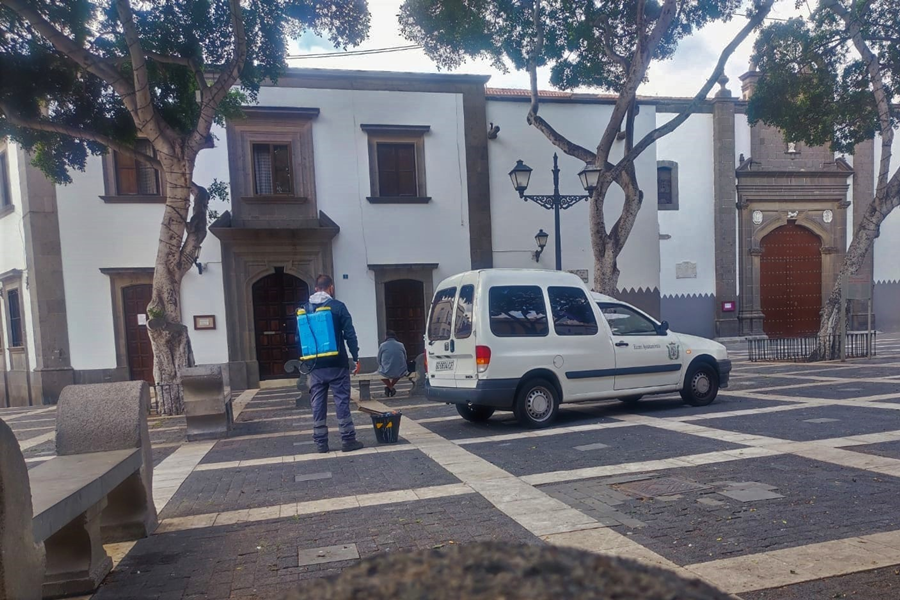Salud Pública sanea Vegueta de cara a Semana Santa con un nuevo tratamiento antiplagas con pintura insecticida