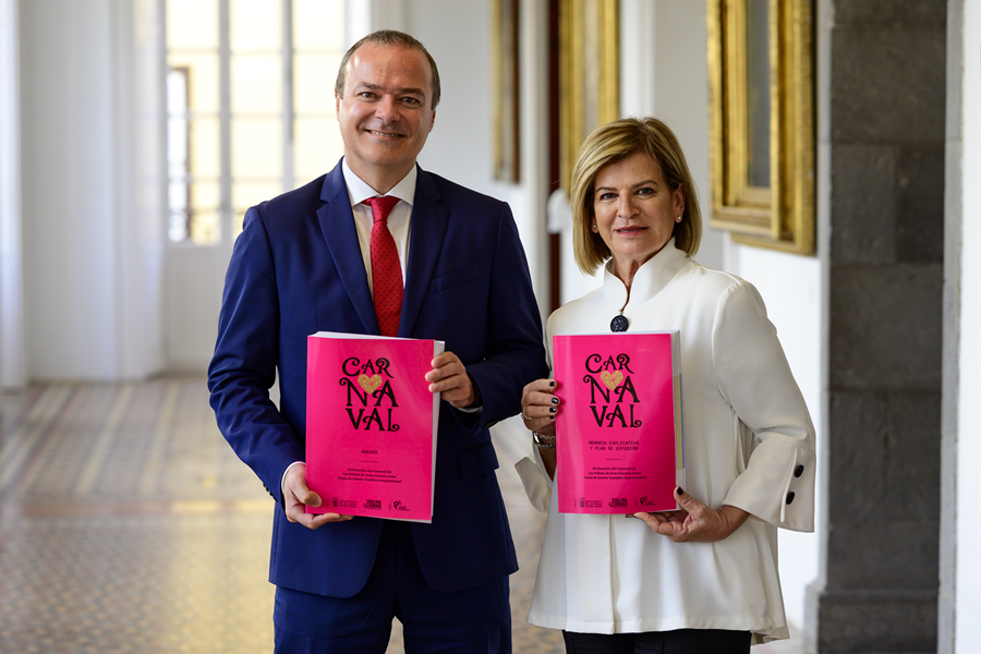 El Pleno da luz verde al expediente para declarar al Carnaval fiesta internacional
