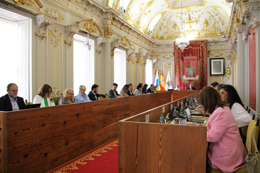 El Pleno del Ayuntamiento ratifica su apoyo a la construcción de la nueva torre pediátrica del Hospital Materno Infantil