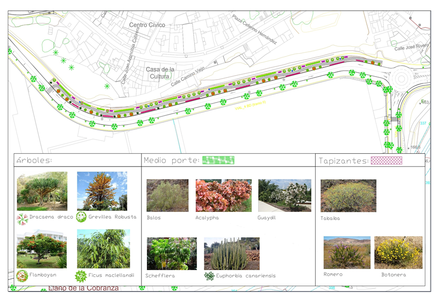 El Ayuntamiento licita la continuidad del corredor verde de Tamaraceite para generar más espacios libres y verdes en el barrio