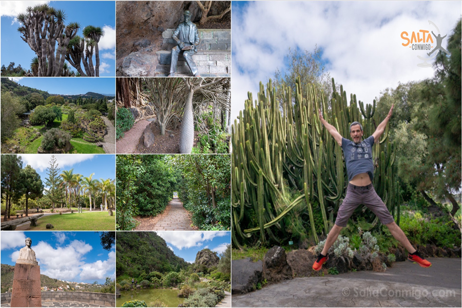 Salta Conmigo recomienda la visita al Jardín Botánico Canario Viera y Clavijo, y su encanto natural para el visitante