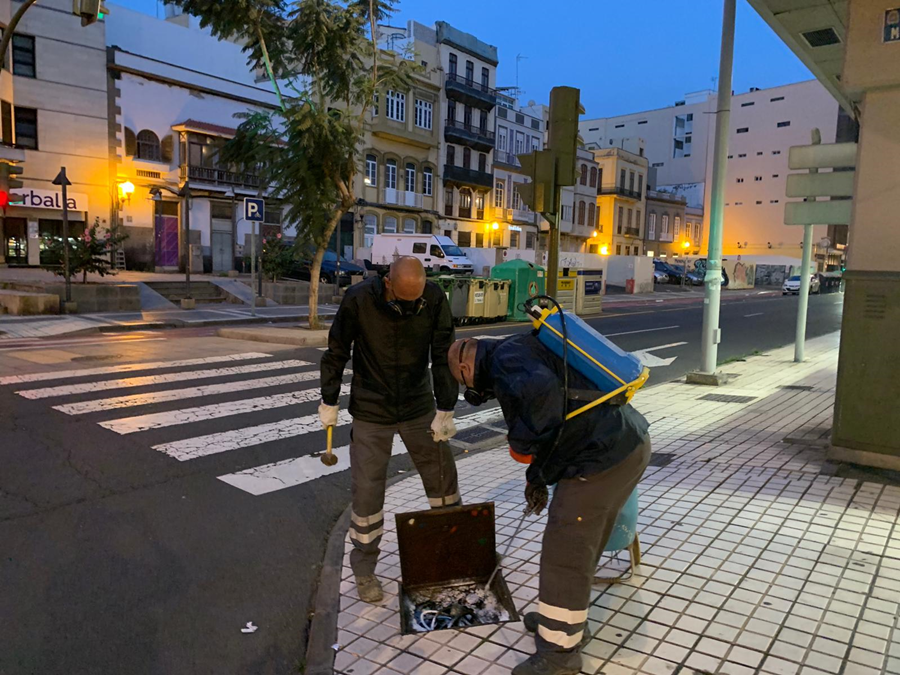 Salud Pública realiza en el último mes 115 actuaciones de control de plagas en 40 barrios de la ciudad