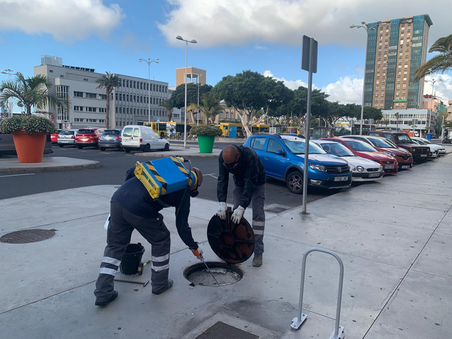 Salud Pública iniciará la próxima semana nuevas actuaciones de control de plagas con pintura blanca en Las Torres y La Minilla