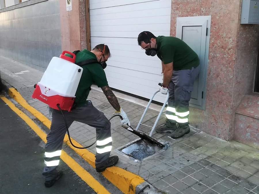 Salud Pública realizará una nueva actuación con pintura blanca insecticida en la Urbanización Cinco Continentes y la Avenida Parque Central