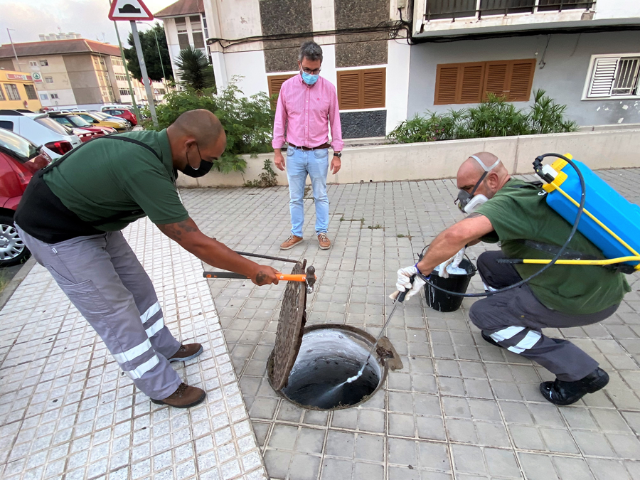 Salud Pública incrementa sus servicios preventivos de control de plagas con más de 3.000 actuaciones en 2022