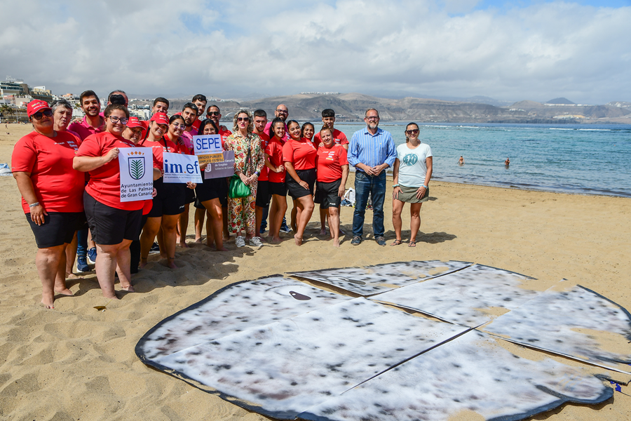 Las Palmas de Gran Canaria pone el foco en la defensa de angelotes, mantelinas y chuchos con motivo del Día Mundial de los Océanos