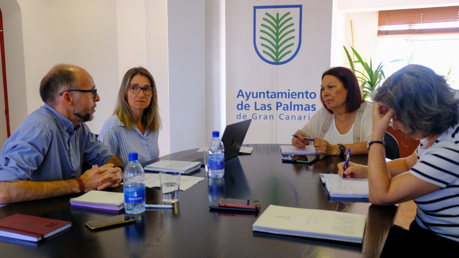 El Ayuntamiento y el Colegio de Veterinarios coordinan una nueva campaña de control poblacional felino