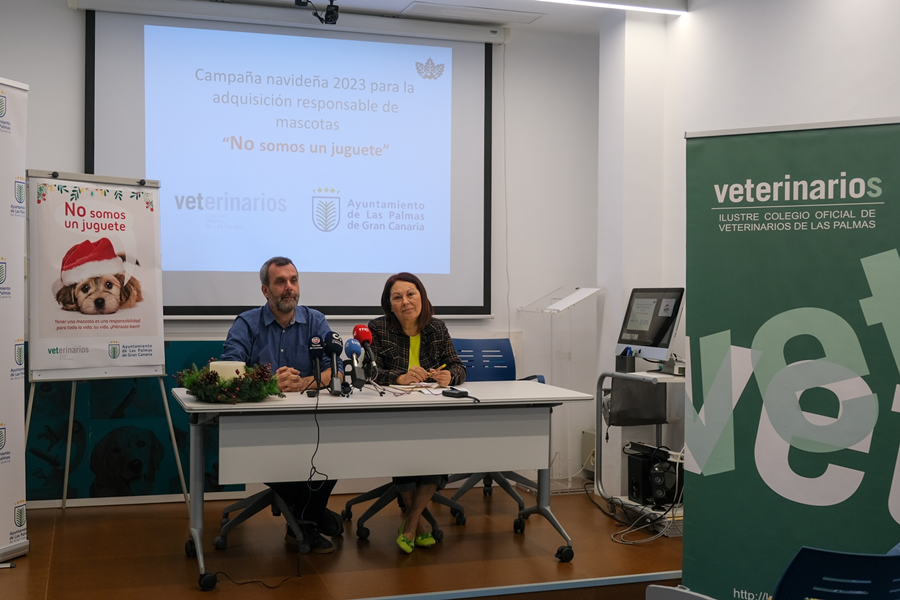 Ayuntamiento y Colegio de Veterinarios lanzan una campaña para fomentar la responsabilidad en la adopción de mascotas