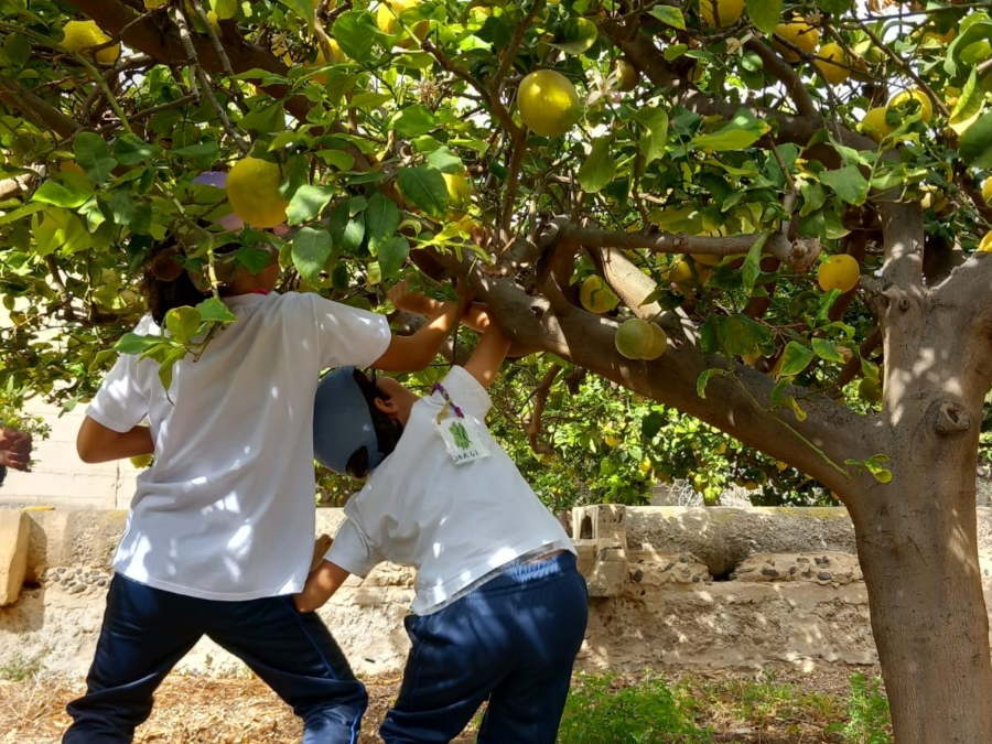 El Pambaso se prepara para acoger a más de 1000 estudiantes con el proyecto Huertos Escolares