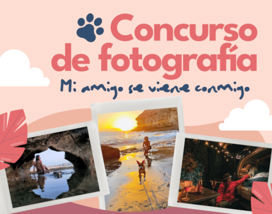 Último mes para participar en el concurso fotográfico del Ayuntamiento y el Colegio de Veterinarios sobre tenencia responsable de mascotas