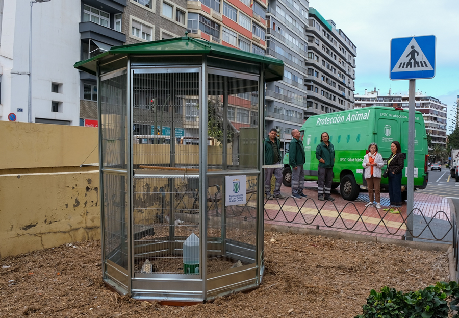 El Ayuntamiento inicia un proyecto piloto para reducir la población de palomas en la ciudad