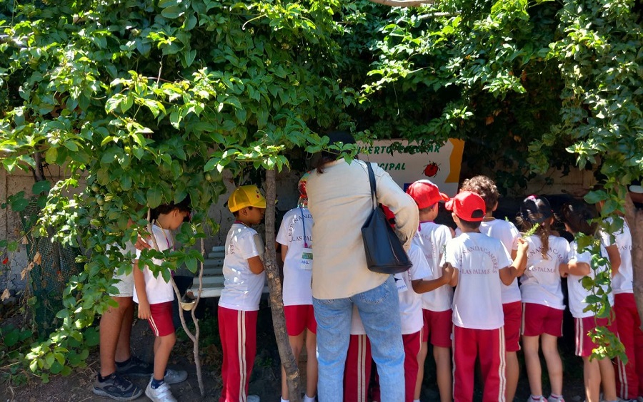 El Ayuntamiento retoma el proyecto Huertos Escolares que acerca la agricultura a la infancia 2-1