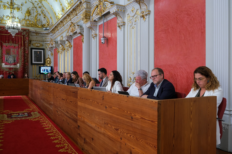 El Pleno aprueba un acuerdo por el 'Green Friday' para promover el consumo sostenible