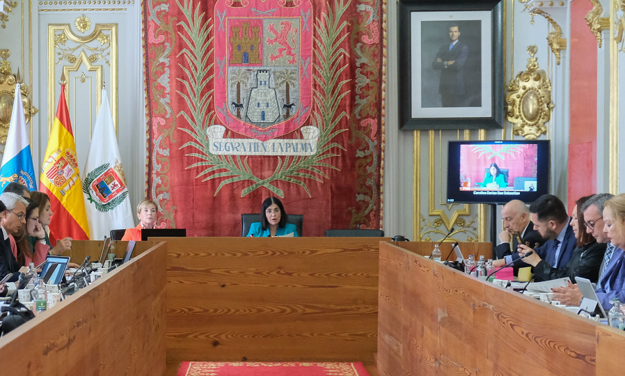La alcaldesa Darias da lectura a la declaración durante el Pleno