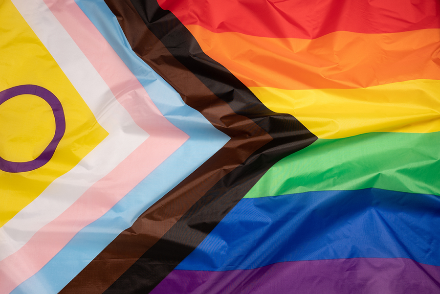 Sagulpa aprueba su Plan LGTBI que incluye 17 medidas que buscan la igualdad real del colectivo y el protocolo contra el acoso