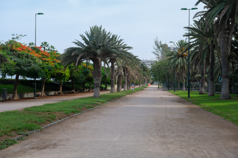 El Ayuntamiento inicia los trabajos para acondicionar la pista deportiva del Parque Romano