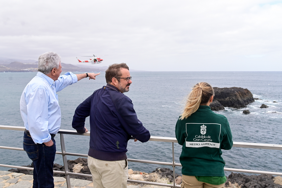 El Ayuntamiento de Las Palmas de Gran Canaria y el Cabildo colaboran para recuperar la colonia de charranes en la Bahía de El Confital
