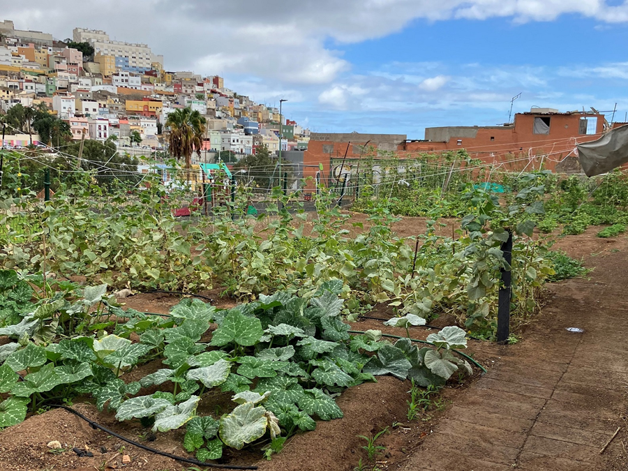 El Ayuntamiento promueve el autocultivo ecológico a través de  formación gratuita