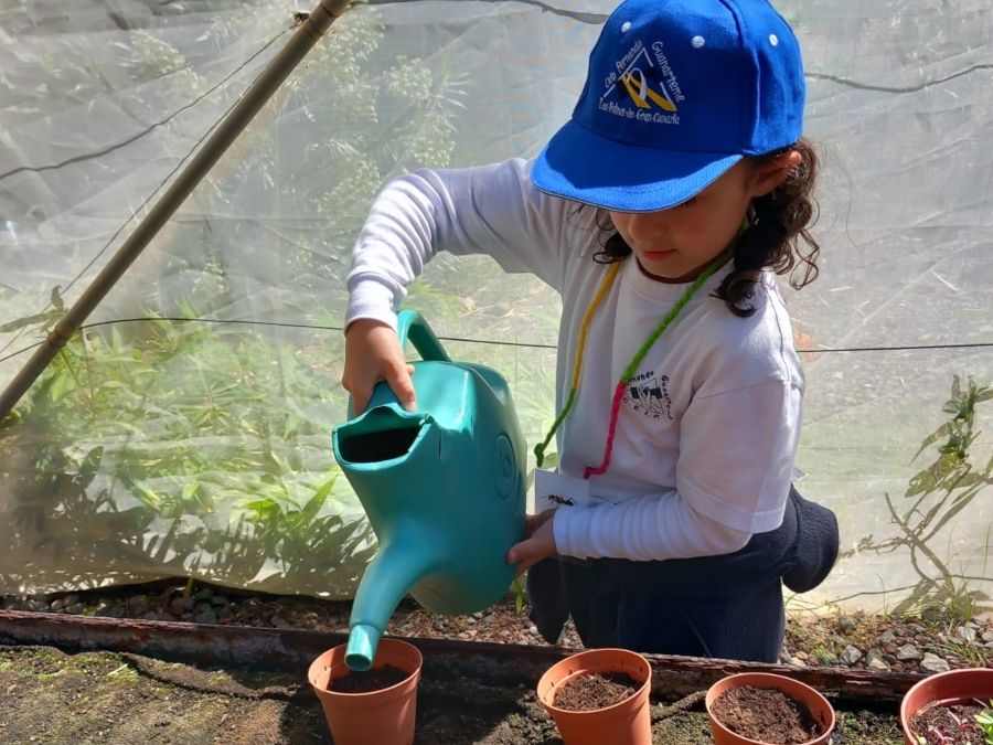 El Ayuntamiento lanza una nueva edición de Huertos Escolares para centros educativos de la ciudad