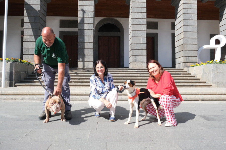 Las Palmas de Gran Canaria se suma al Día Mundial del Perro Adoptado