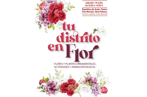 Ciudad Alta celebra 'Tu Distrito en Flor' con exposiciones de plantas ornamentales, talleres y música
