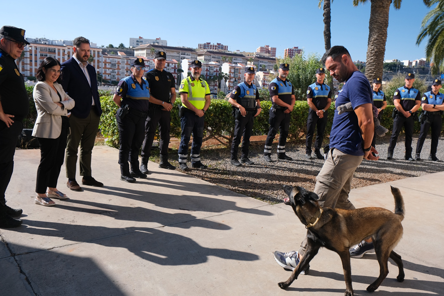 Darias clausura el I Curso de Guías Caninos para policías locales de Canarias