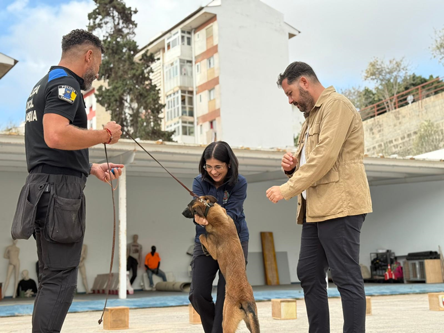 El Grupo de Guías Caninos de la Policía Local inicia la formación de tres nuevos agentes caninos