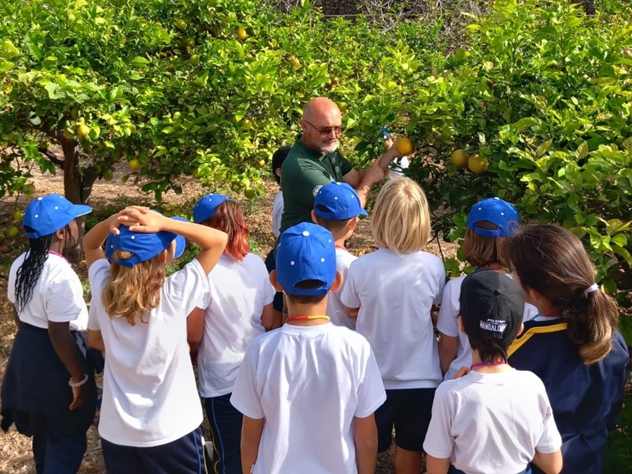 El Ayuntamiento crea los campus  'Huertoaventuras de verano' en El Pambaso