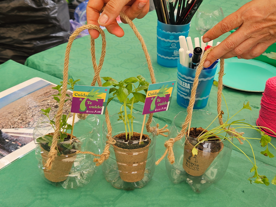 El Ayuntamiento lanza un taller de plantas aromáticas y medicinales en El Pambaso