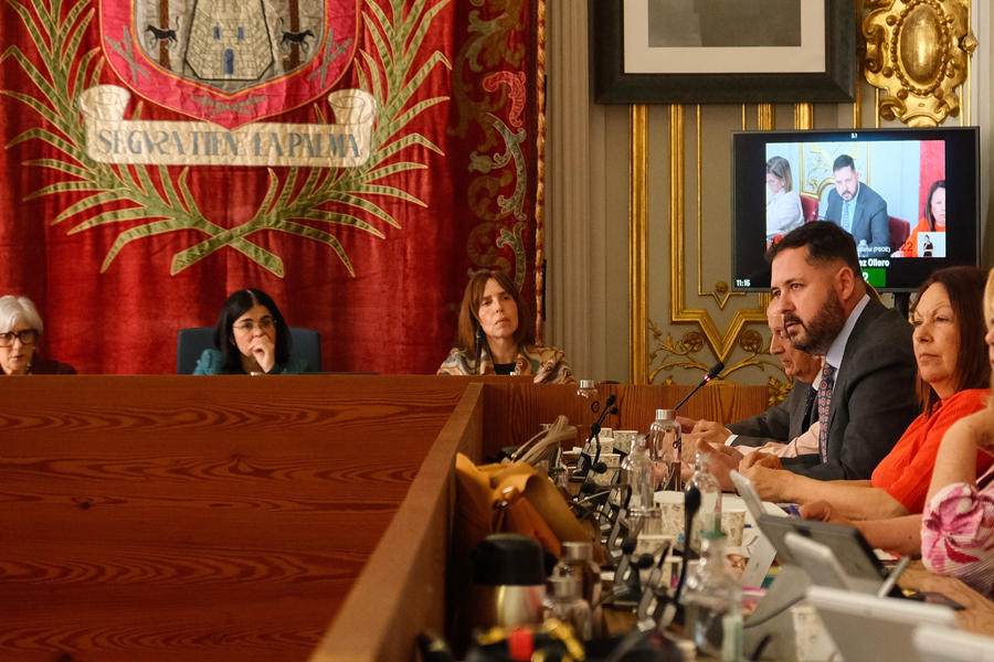 El Pleno solicita al Gobierno de Canarias que los Agentes de Movilidad se integren en la Policía Local