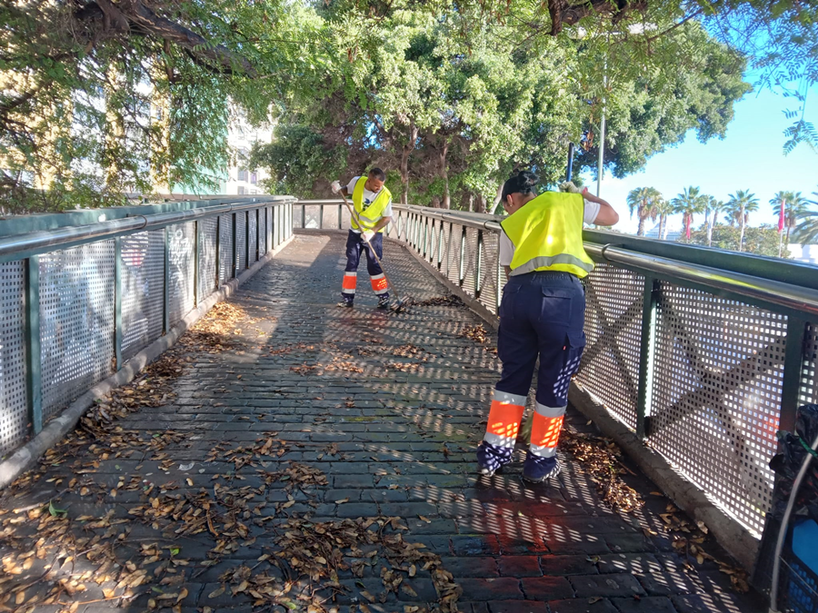Las Palmas de Gran Canaria atiende cerca de 500 incidencias tras el paso de la borrasca 'Emilia'