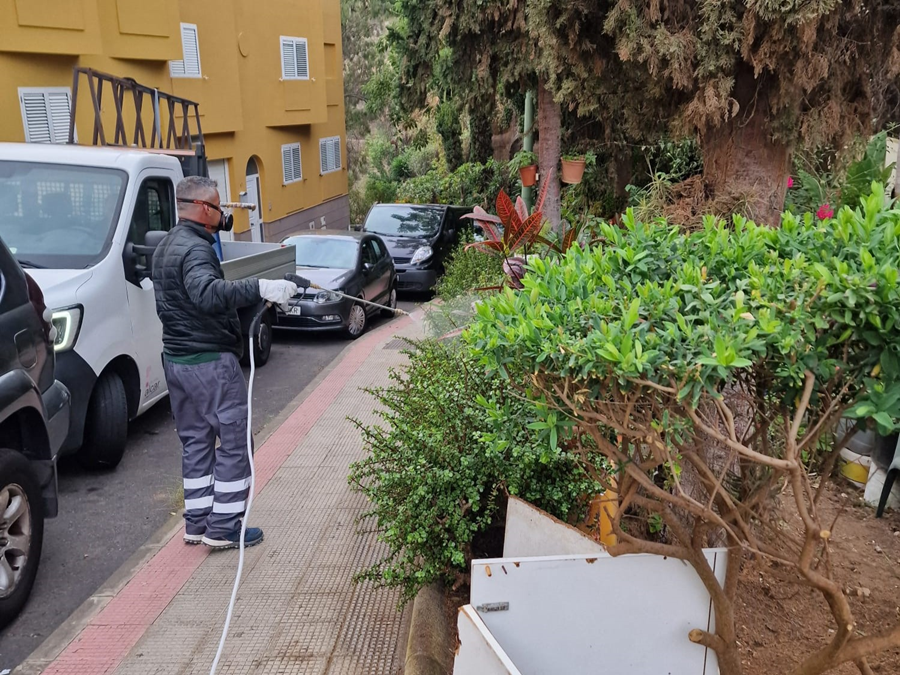 El Ayuntamiento refuerza el control de plagas con 200 actuaciones durante el primer mes del año