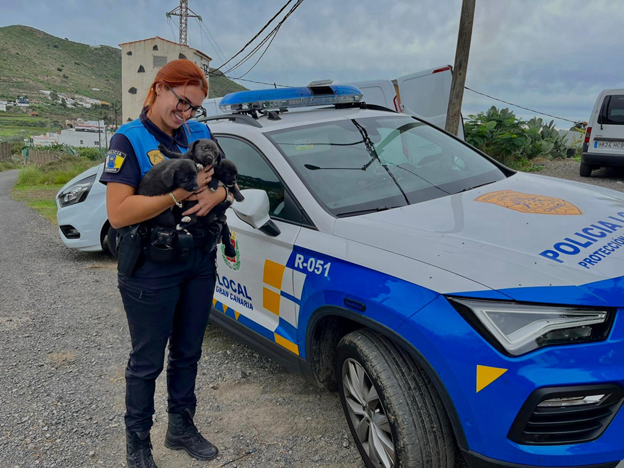 La Policía Local realiza 1.392 servicios de protección animal durante 2024