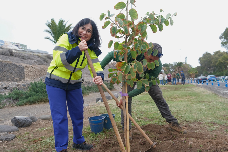 La alcaldesa, Carolina Darias, durante la plantacion de un ejemplar de Bauhinias 20250320