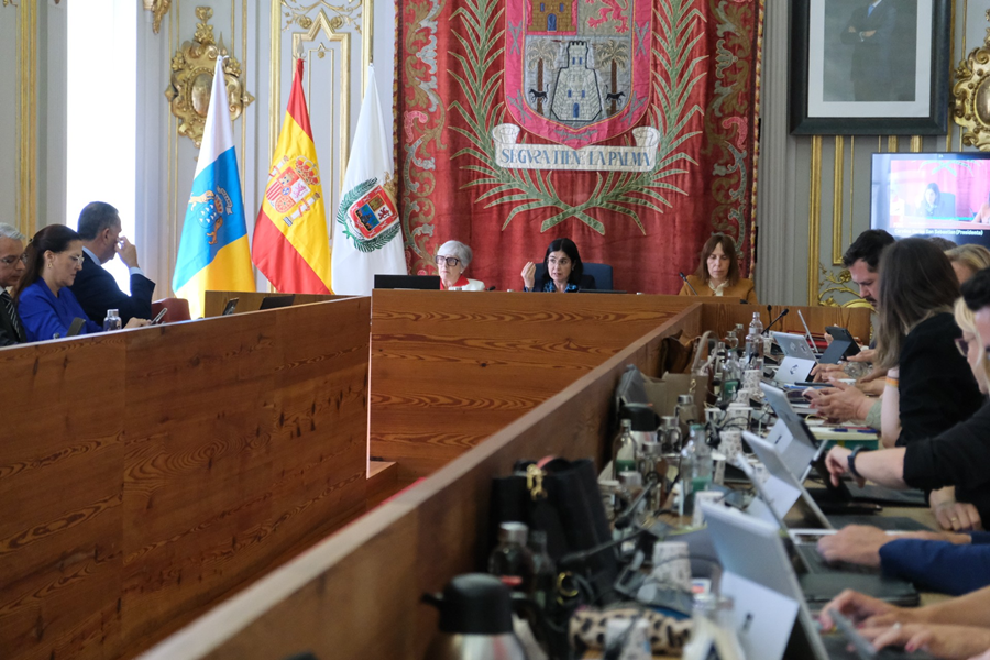 El Gobierno local defiende la autonomía municipal y la igualdad ante la ley que menoscaba el Decreto Ley para la agilización de licencias urbanísticas